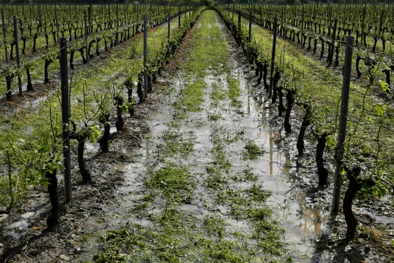 The bad weather struck around midday on Saturday in the Gironde area where many of France's most well-known red wines originate