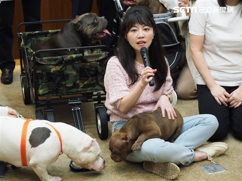  高嘉瑜今日與惡霸犬一同嬉戲，向大眾說明牠們確實是「面惡心善」。（圖／記者陳政宇攝影）