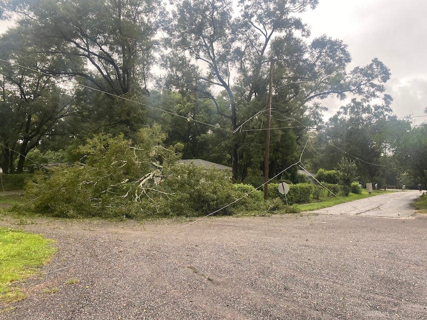 Archer residents are reporting a power outage after a tree fell on power lines on Southwest 159th Terrace.