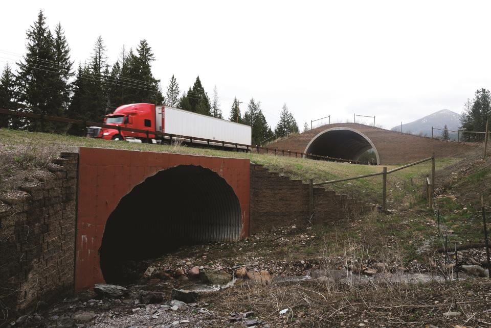 Wildlife underpass (foreground) and overpass (background) on U.S. 93 North at the Flathead Indian Reservation near Evaro, Montana. This type of underpass, sometimes called a “multi-plate arch,” offers a spacious passage for a modest cost.