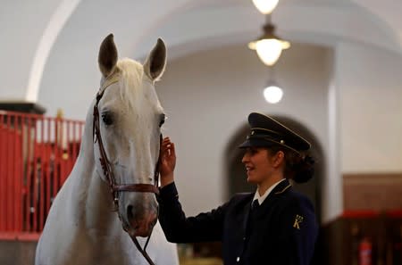 An employee of The National Stud Kladruby nad Labem pets a horse inside a stable in the town of Kladruby nad Labem