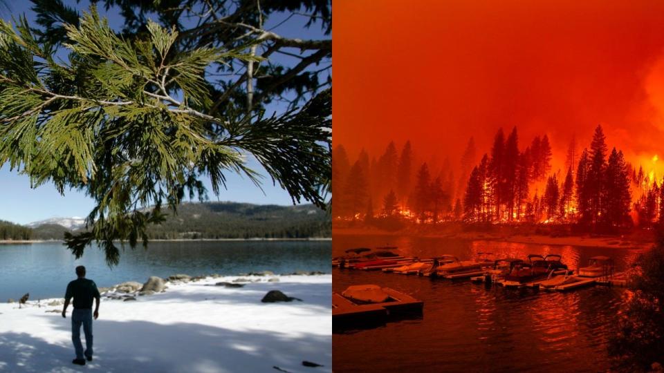 california wildfires before after