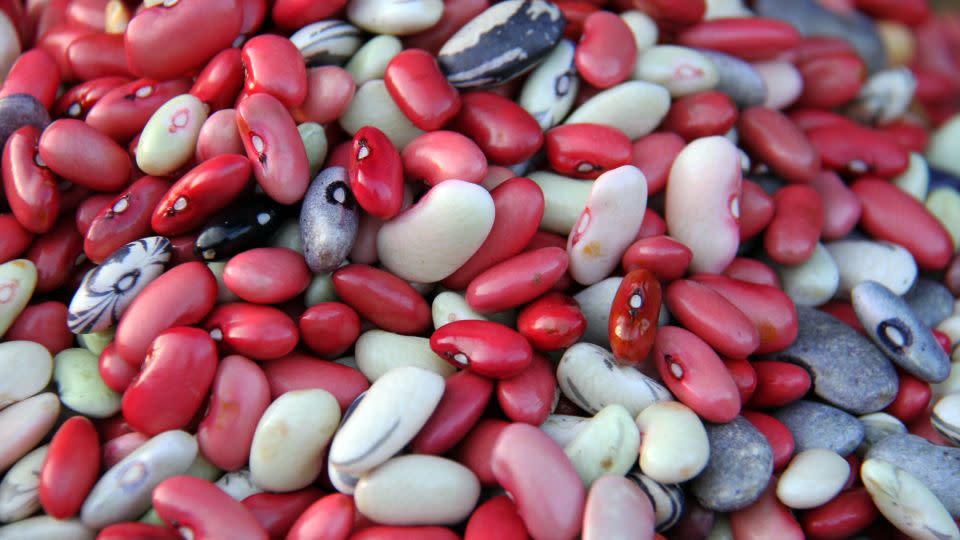 The increased levels of iron and zinc in some beans could help tackle deficiencies. - Stephanie Malyon