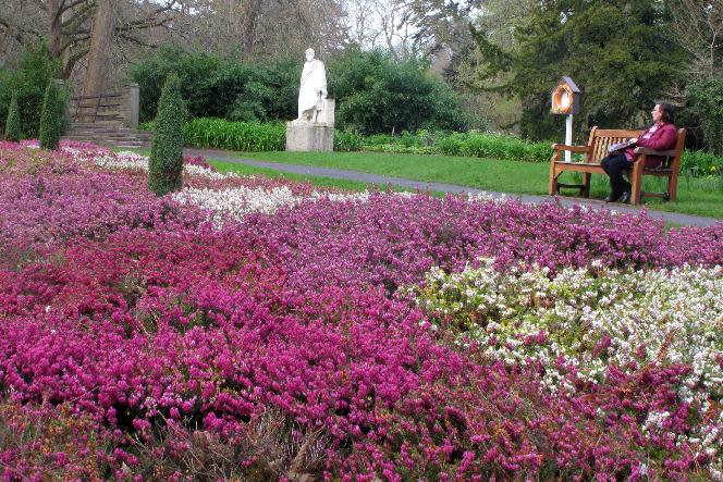 This March 23, 2012 photo shows Dublin resident Catherine Heaney, 45, sitting near a field of blooming heather and a statue of Socrates in the National Botanic Gardens in Dublin, Ireland. The gardens, founded in 1795, are home to more than 300 endangered plant species. (AP Photo/Shawn Pogatchnik)