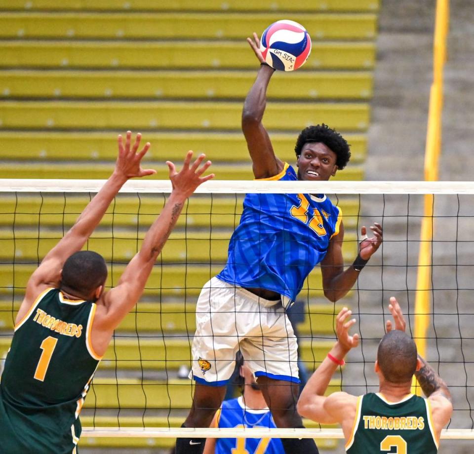 Fort Valley State’s Marty Boyd (10) spikes the ball during the Wildcats three set win over Kentucky State Thursday during the first round of the SIAC conference tournament.