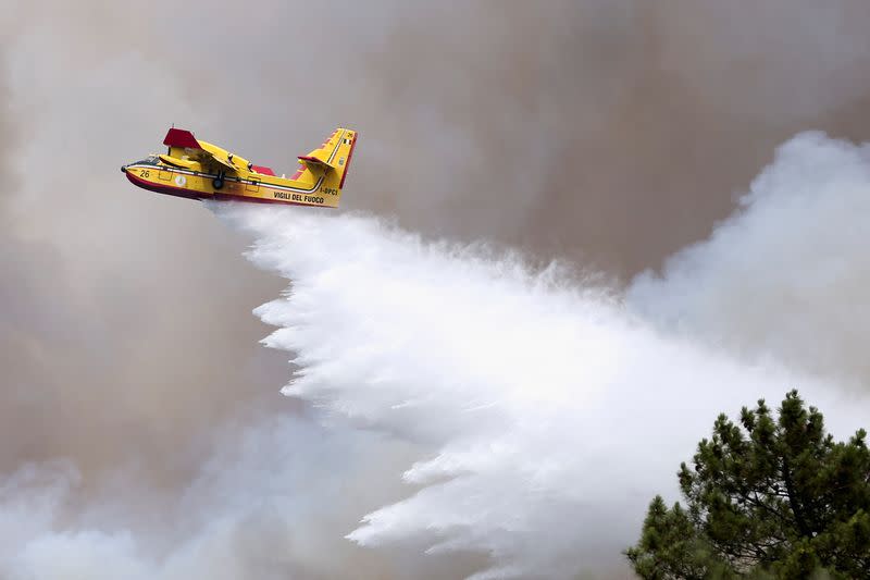 Forest fire in Leiria