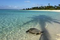 The tiny, palm-fringed atoll of Tetiaroa was once a favourite holiday spot for Tahitian royalty before the late American movie star fell in love with it while filming "Mutiny on the Bounty" in 1961 on islands close by