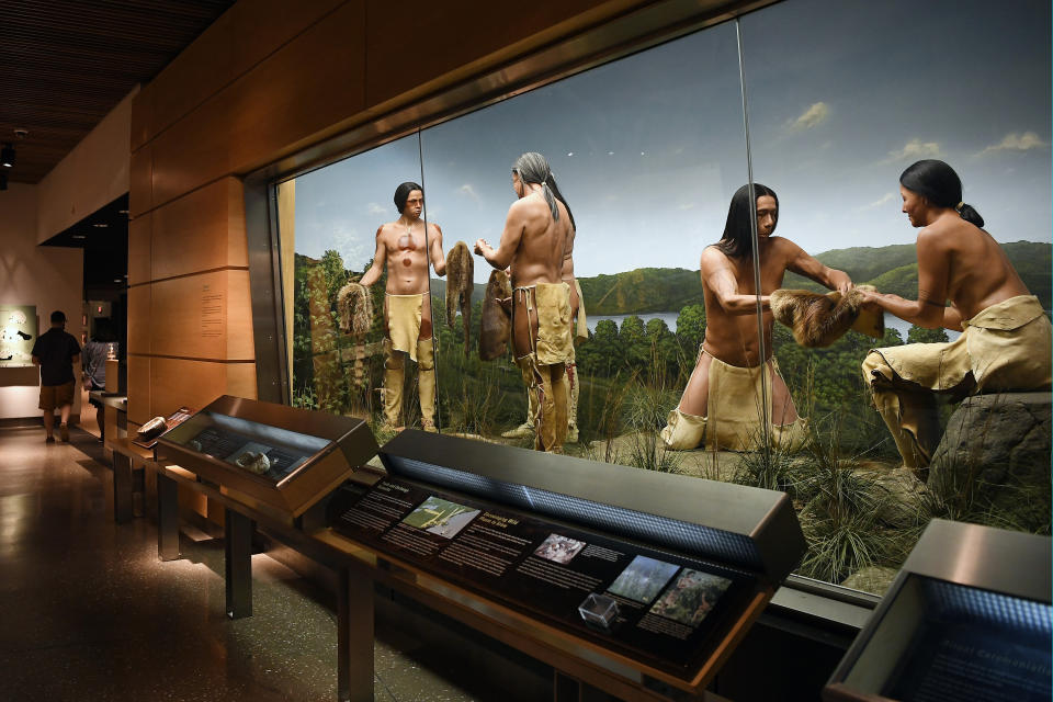 An exhibit on the fur trade is seen at the Mashantucket Pequot Museum & Research Center, in Mashantucket, Conn., Wednesday, Aug. 28, 2021. The museum is the world's largest Native American museum. Connecticut and a handful of other states have recently decided to mandate students be taught about Native American culture and history. (AP Photo/Jessica Hill)