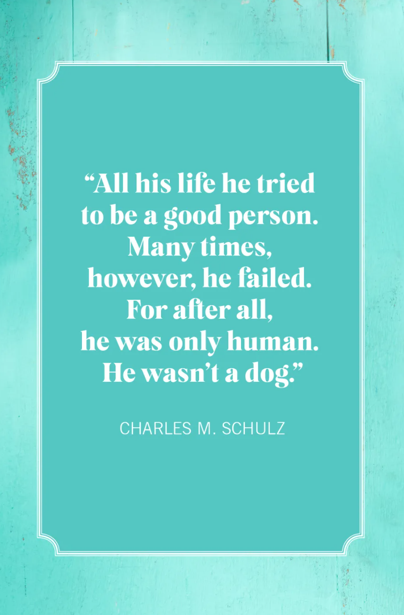 charles m schulz dog mom quotes