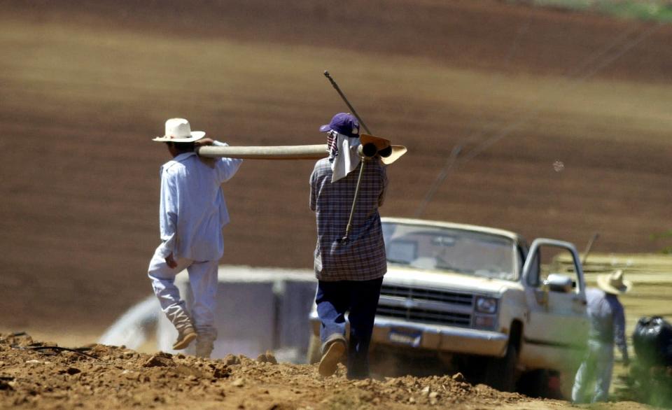 Los suelos polvosos en áreas de California, Arizona y otras regiones del suroeste de EEUU y del norte de México son potenciales portadores del hongo que causa la fiebre del valle. (AP)