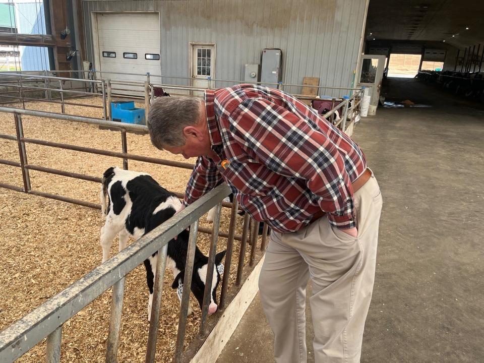 Bill Rowell, owner of Green Mountain Dairy in Sheldon, Vermont, checks on his calves before the solar eclipse gets underway in earnest on April 8, 2024.