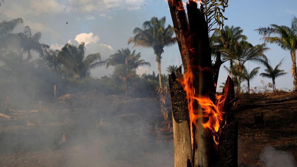 These Photos Show The Devastation Taking Place In The Amazon Rainforest