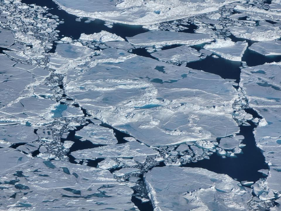 A July 2022 photo of melting summer sea ice in the Arctic Ocean near Greenland.