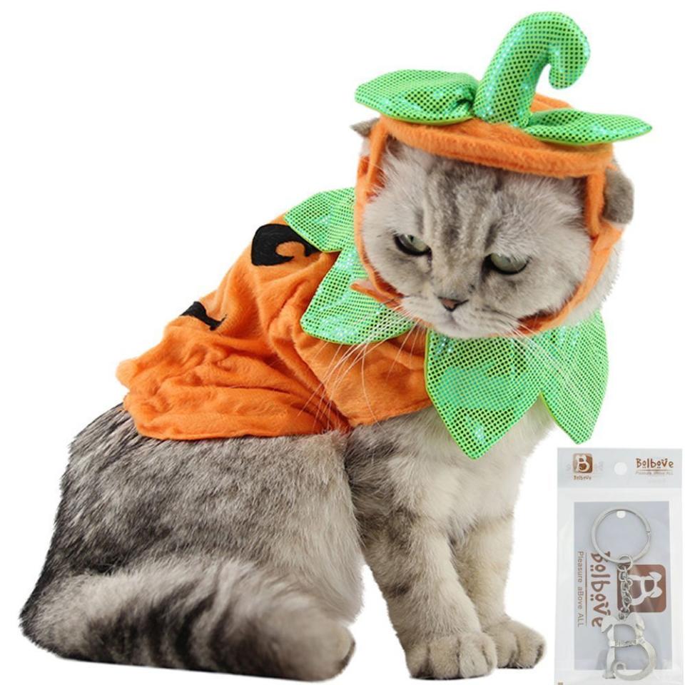 <a href="https://www.amazon.com/Bolbove-Pumpkin-Costume-Halloween-Cosplay/dp/B074YDSQMV/" target="_blank">Get it here</a>.&nbsp;