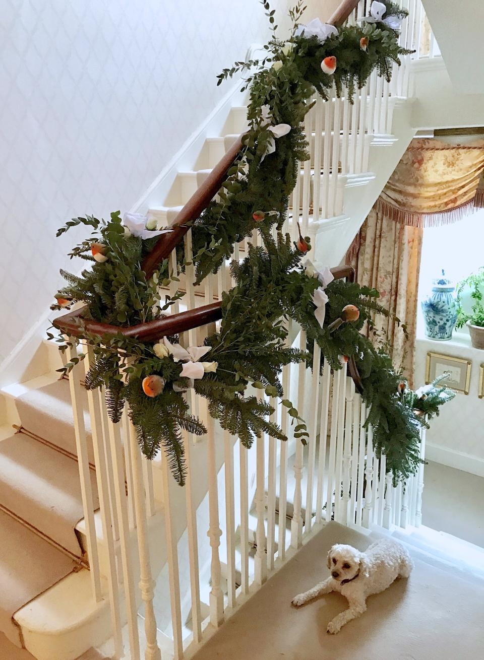 Ethel, our Cavapoo, takes a break by our staircase. We wrapped fresh garlands all the way up and added robins, ribbons, and roses. It smelt amazing!