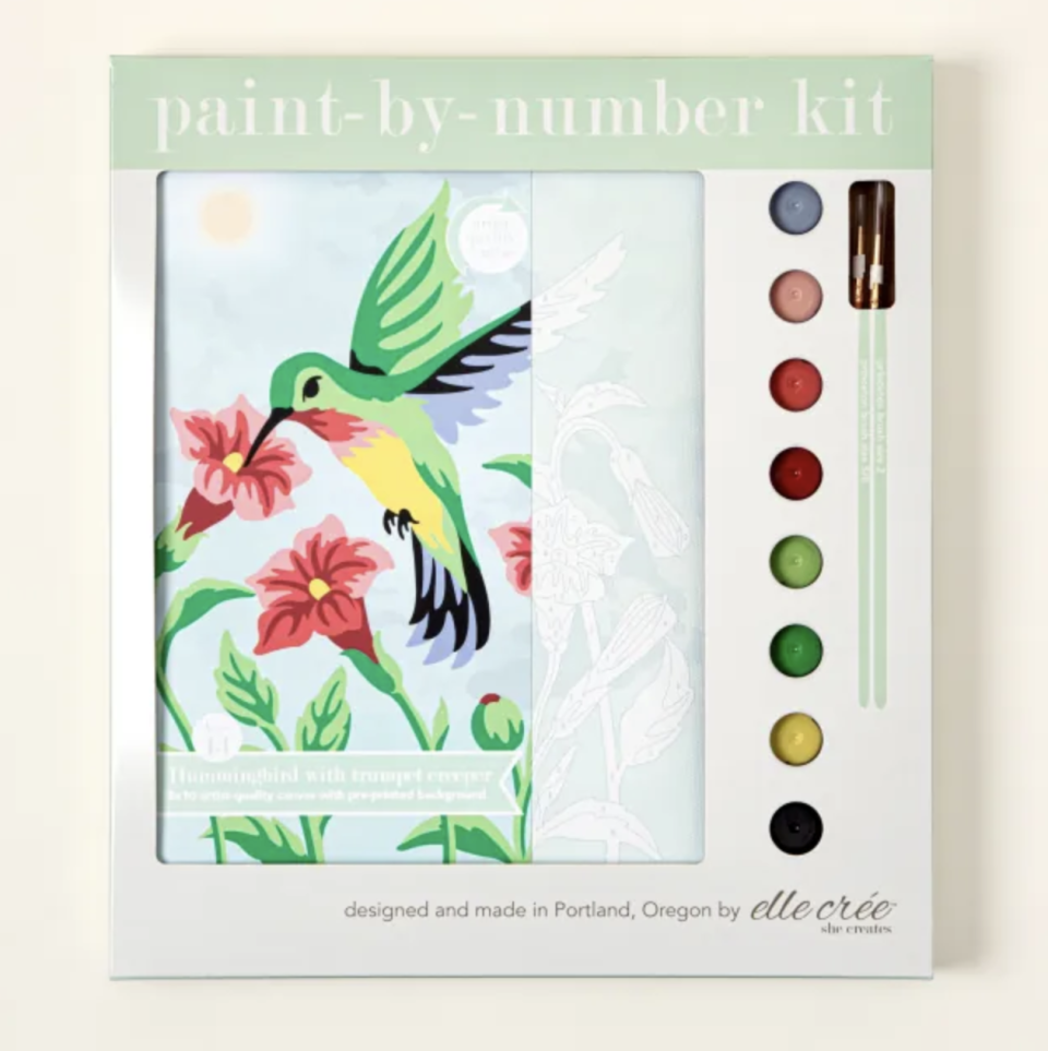 36) Hummingbird Paint-by-Number Kit