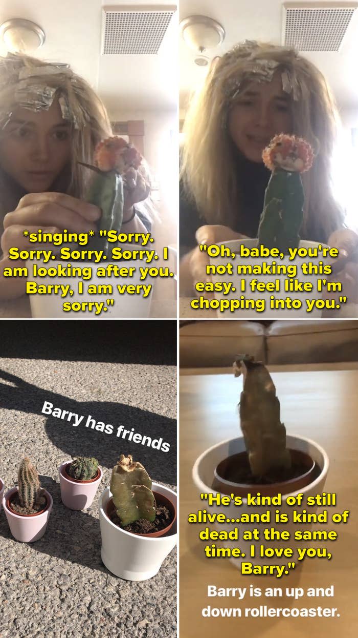 Florence cutting into her cactus and singing, "Sorry. Sorry. Sorry. Sorry. I am looking after you. Barry, I am very sorry"