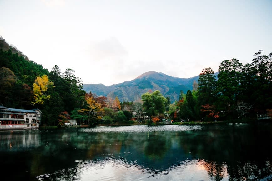 日本大分｜金鱗湖