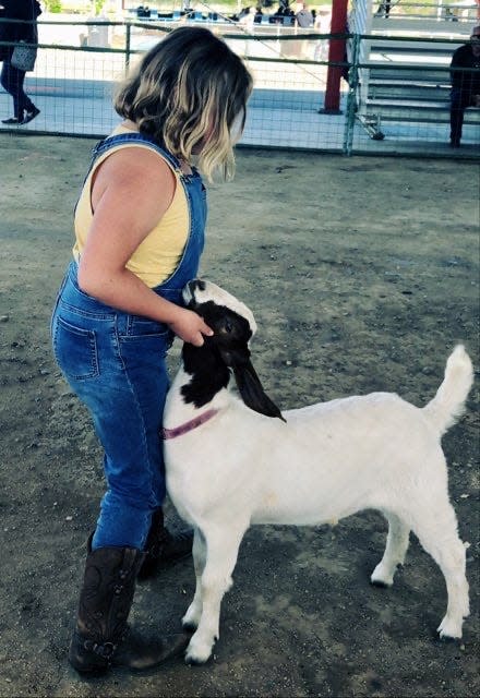 A girl in overalls and boots plays with a small white goat with black neck and ears