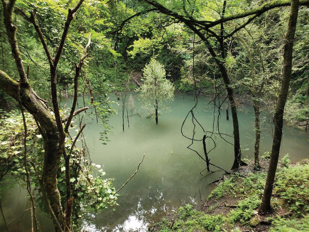 The sinkhole at Devil’s Millhopper Geological State Park has attracted visitors since the 1880s.