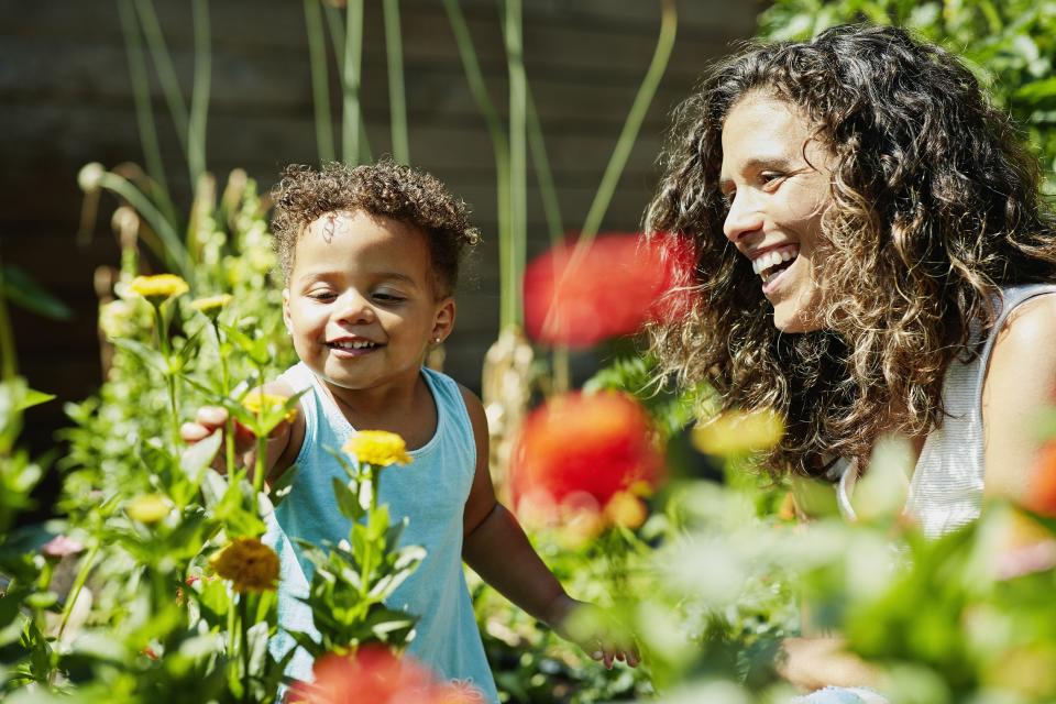 Lift Your Mood with These Inspiring Quotes about Flowers