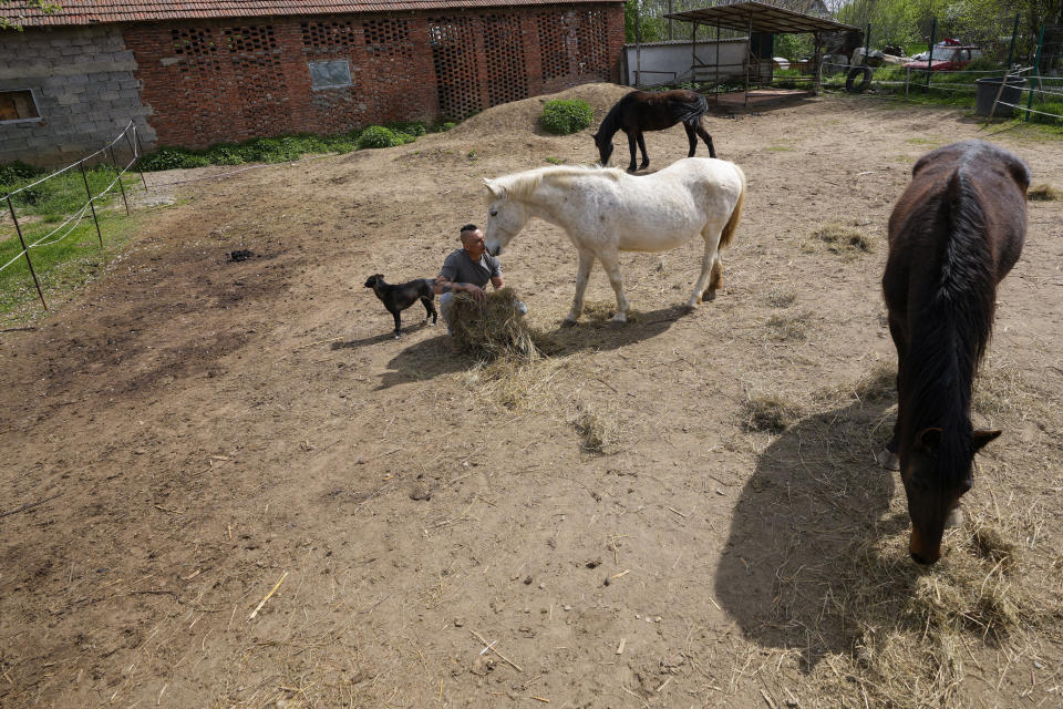 Zeljko Ilicic kisses a horse in the Old Hill, sanctuary for horses in the town of Lapovo, in central Serbia, Wednesday, April 3, 2024. The 43-year-old Serbian man has set up the only sanctuary for horses in the Balkan country, providing shelter and care for dozens of animals for nearly a decade. Around 80 horses have passed through Ilicic's Staro Brdo, or Old Hill, sanctuary since it opened in 2015. (AP Photo/Darko Vojinovic)