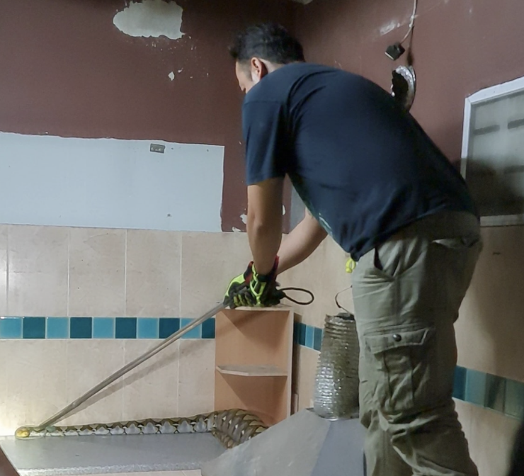 A man removes a large python from a Thai house.