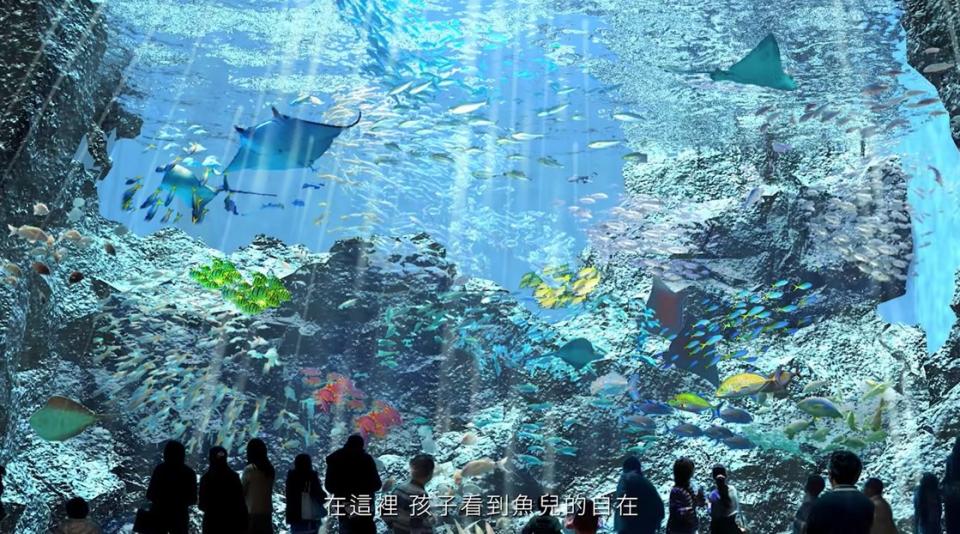 Xpark水族館8/7即將盛大開幕，今日搶先開賣門票   圖：截圖自Xpark概念影片