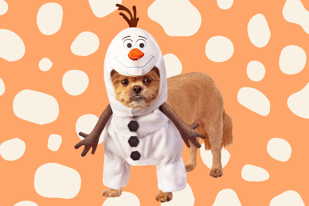 Olaf Disney dog costume