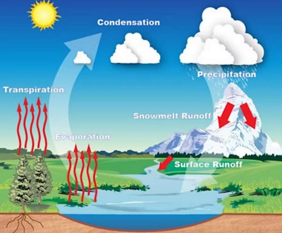 The water cycle. <a href="https://www.weather.gov/jetstream/hydro" rel="nofollow noopener" target="_blank" data-ylk="slk:National Weather Service;elm:context_link;itc:0;sec:content-canvas" class="link ">National Weather Service</a>