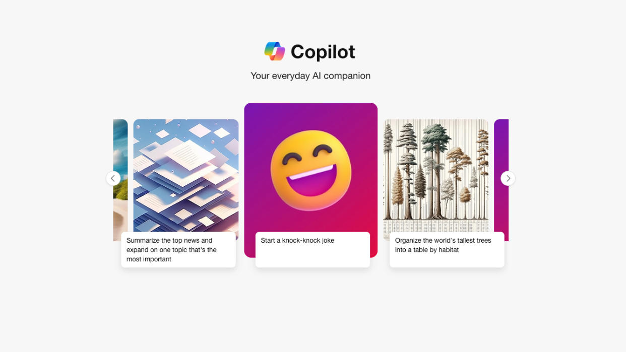  The Microsoft Copilot splash page. 