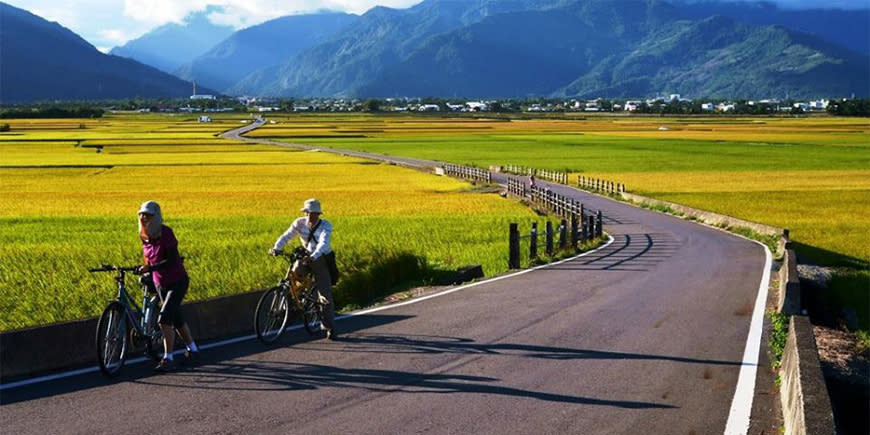 池上大坡池暨藍線自行車道（圖片來源：台灣自行車旅遊網）
