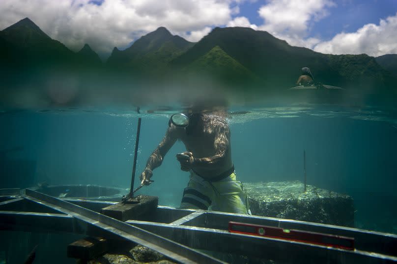 Un trabajador inspecciona los cimientos permanentes que se están construyendo en el arrecife de coral para una torre que se utilizará durante los Juegos Olímpicos.