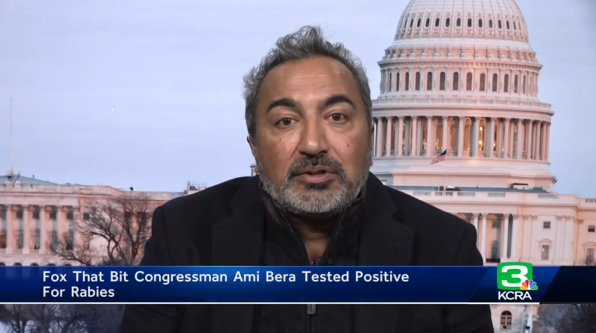 Rep Ami Bera of California is introducing a bill that would slash the cost of life-saving rabies vaccines for uninsured patients (KCRA/video screengrab)