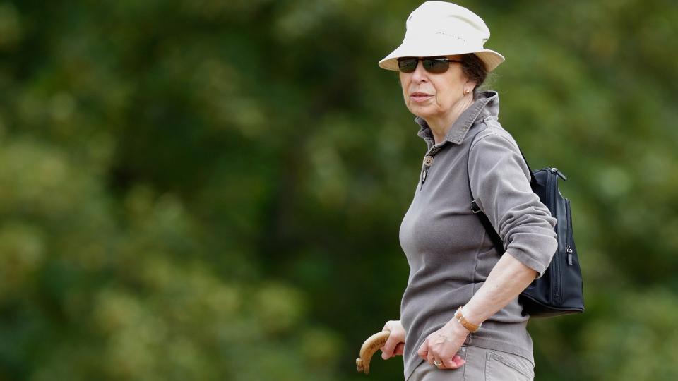 <p> You'd probably never expect a member of the royal family to get a fine for committing a crime, but that's what happened in 2002 when one of Princess Anne's dogs bit two children in Windsor Great Park, whilst out on a walk. </p> <p> Anne attended the Slough County Court herself to plead guilty to the criminal offence under the Dangerous Dogs Act, and was forced to pay a fine for the crime. She ended up paying £500 as punishment, and £250 in compensation, as well as £148 in magistrates court costs. </p>