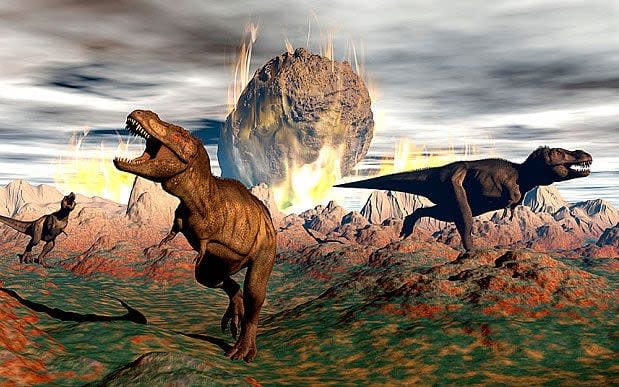 After dinosaurs became extinct 66 million years ago, mammals became diurnal - © Stocktrek Images, Inc. / Alamy