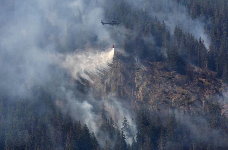 A wildfire spreads on the flank of a mountain in Bitsch