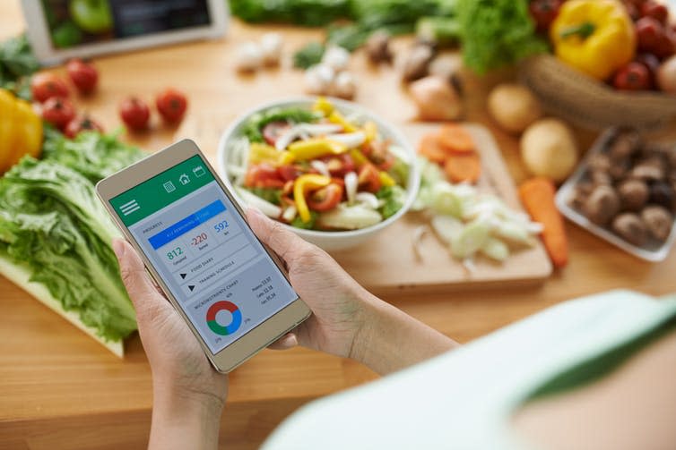 <span class="caption">Calorie counting apps have been accused of exacerbating unhealthy food behaviours.</span> <span class="attribution"><a class="link " href="https://www.shutterstock.com/image-photo/woman-using-calorie-counter-application-on-343475045?src=R5zlL4iQokqKXwg_YQuHWw-1-0" rel="nofollow noopener" target="_blank" data-ylk="slk:Shutterstock/Dragon Images;elm:context_link;itc:0;sec:content-canvas">Shutterstock/Dragon Images</a></span>