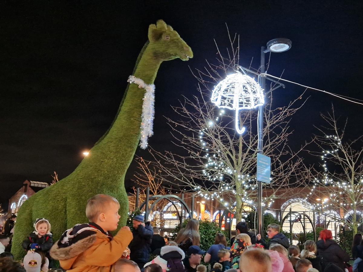 Fox Valley Christmas lights Video captures magical Stocksbridge switch