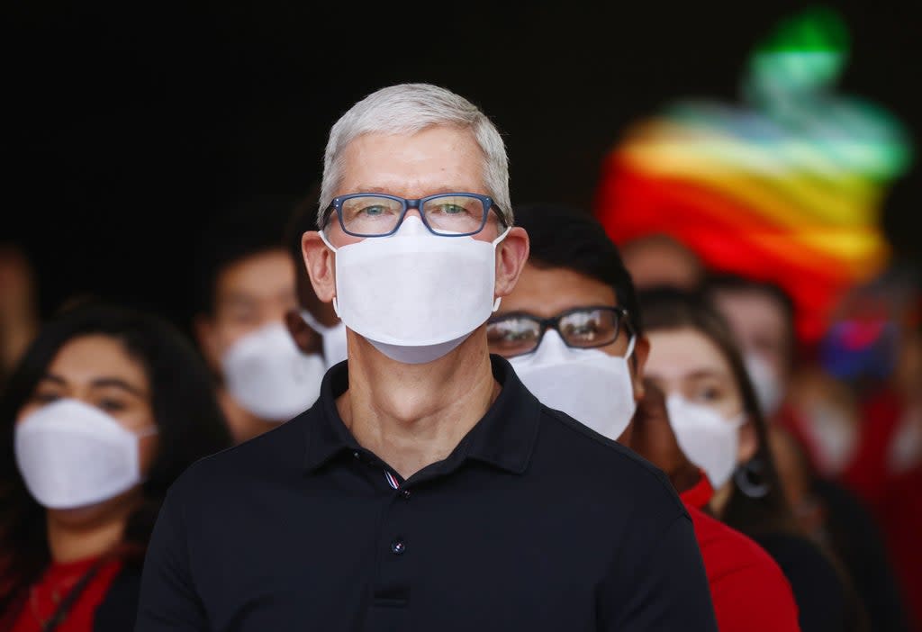 Apple CEO Tim Cook was allegedly stalked by the woman for more than a year  (Getty Images)