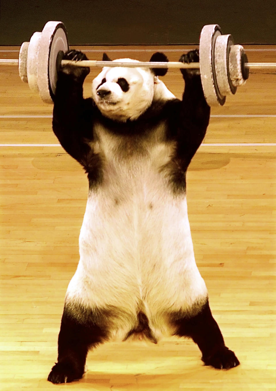 panda weight weightlifting