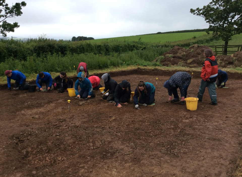 The dig at Ipplepen (University of Exeter) 