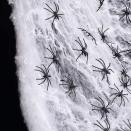 <p><strong>Joyseller</strong></p><p>amazon.com</p><p><strong>$6.99</strong></p><p>Stretch a few fake webs across your windows for a more subtle Halloween look. You can even spread these throughout the house or outside on the trees.</p>
