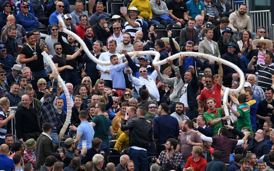 Beer snakes are a common sight at Test cricket - AFP