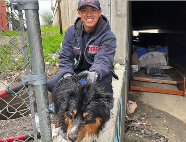 PHOTO: An Australian Shepherd named Seamus is lucky to be alive after he was swept away by floodwaters in San Bernardino, California, only to be reunited with his owner hours later thanks an Apple AirTag that helped locate him on Monday, Jan. 16, 2023. (San Bernardino County Fire / Facebook)