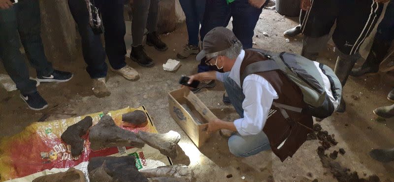 Los restos fósiles de un mastodonte encontrados por mineros se ven dentro de una mina de oro en Risaralda, Colombia