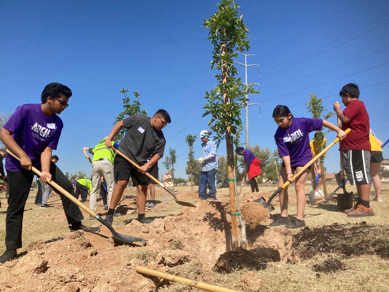 Cesar Chavez High School freshman Rosa Ramirez, right, helps classmates Nahim Khan, left, and Israel Martinez place dirt around the roots of a newly planted tree in Phoenix's Baseline Road "cool corridor."