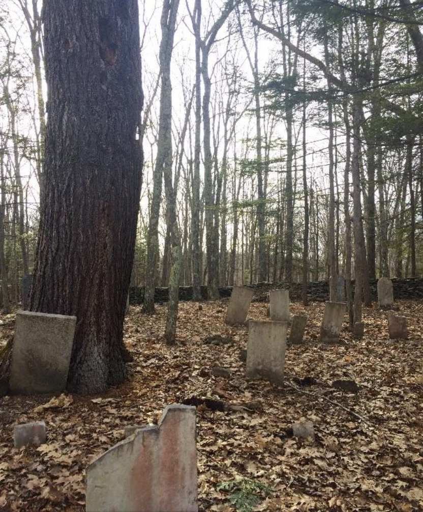 Old weathered tombstones in a forest clearing