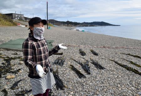 A local seaweed farmer speaks in Erimo Town, on Japan's northern island of Hokkaido, October 12, 2017. REUTERS/Malcolm Foster
