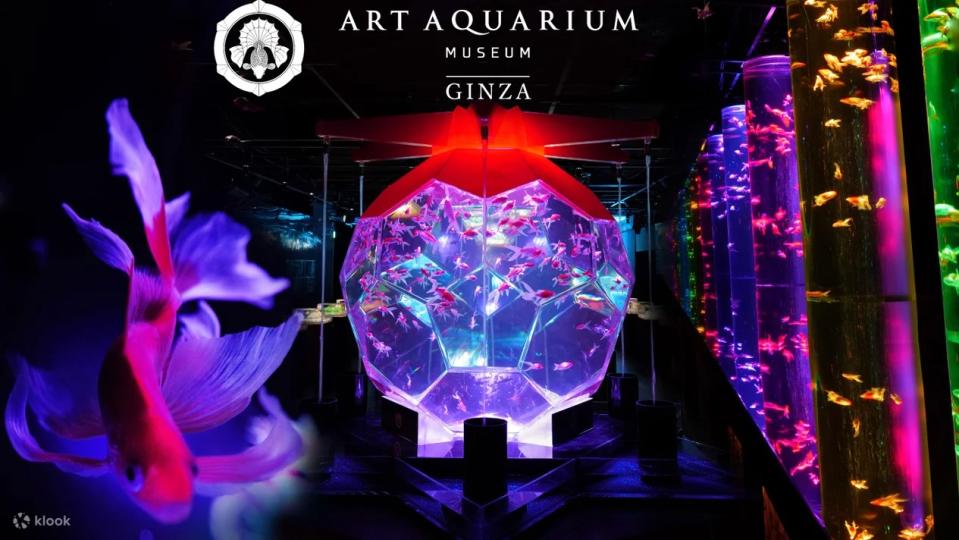 Art Aquarium Museum Ginza. (PHOTO: Klook)